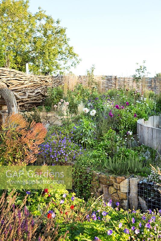 Pub garden with late summer border and willow fence, Jo Thompson garden Design, Ticehurst, East Sussex 