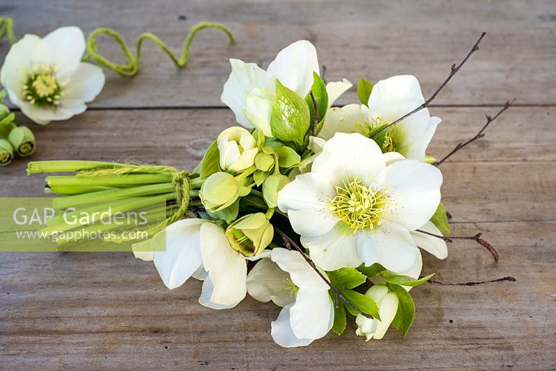 Posy of white and green hellebores on wooden background