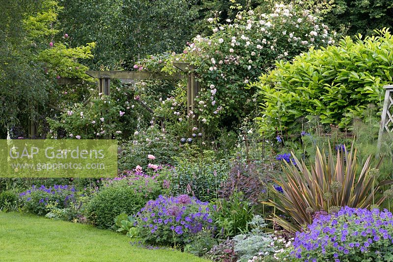Rose pergola with Rosa 'Madame Alfred Carriere', 'Felicite Perpetue' and 'Coral Dawn'. In front, bed of hardy geranium, oriental poppy, phormium and foxglove.