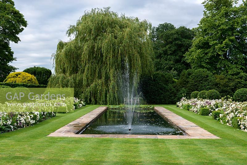 A formal garden with reflecting pool and fountain between box edged beds planted with Rosa 'White Flower Carpet' and evergreen Prunus lucitanica standards.