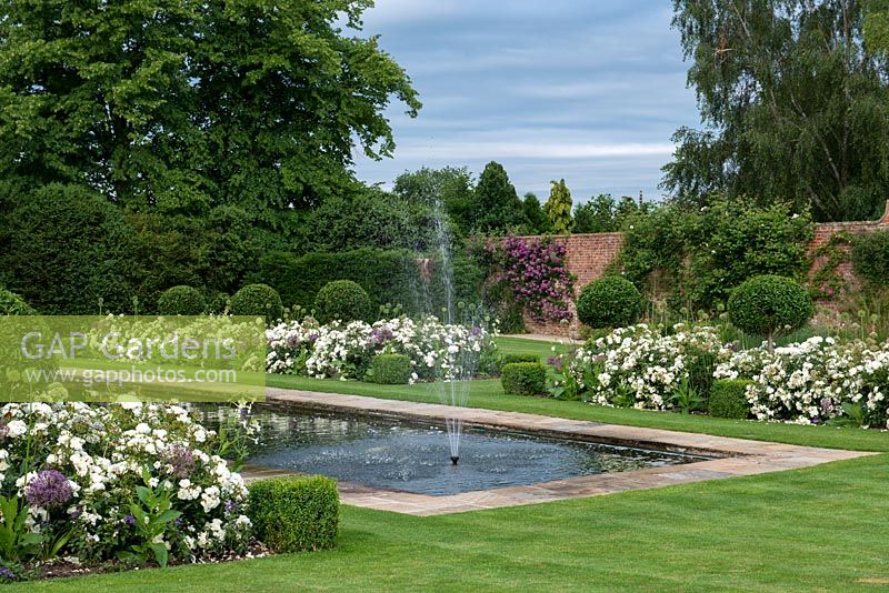 A formal garden with reflecting pool and fountain between box edged beds planted with Rosa 'White Flower Carpet' and evergreen Prunus lucitanica standards.