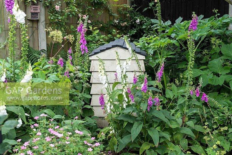 A compost bin in the shape of a beehive is set in a shady corner, and enclosed in foxgloves.