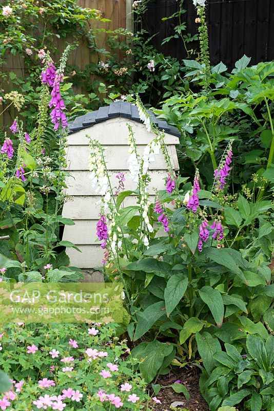 A compost bin in the shape of a beehive is set in a shady corner, and enclosed in foxgloves.