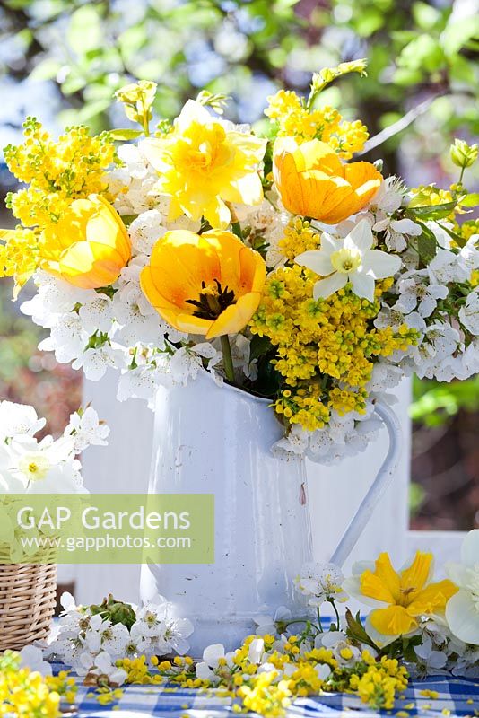 Display of spring flowers in jug. daffodils, tulips, mahonia and cherry blossom branches.