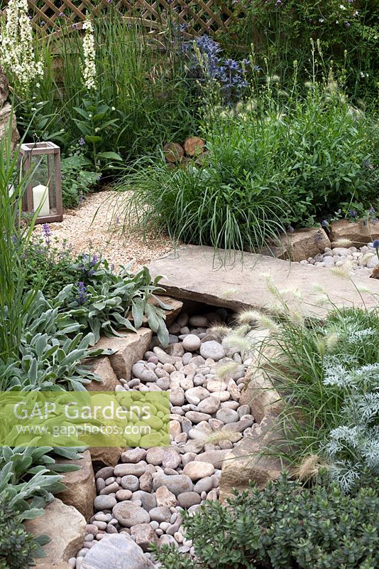 Dry stream in The Drought Garden at RHS Hampton Court Palace Flower Show 2016