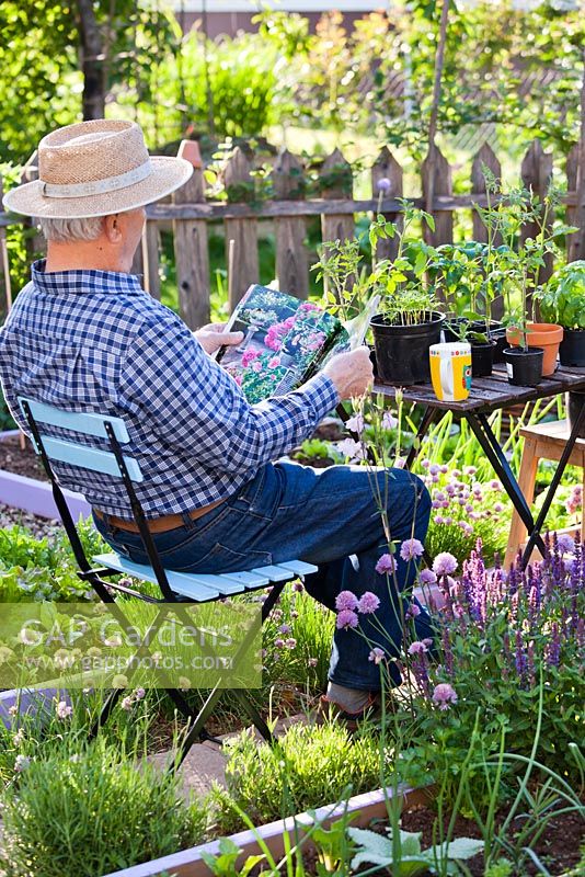 Man relaxing with cup of tea and a garden magazine in spring vegetable and herb garden.