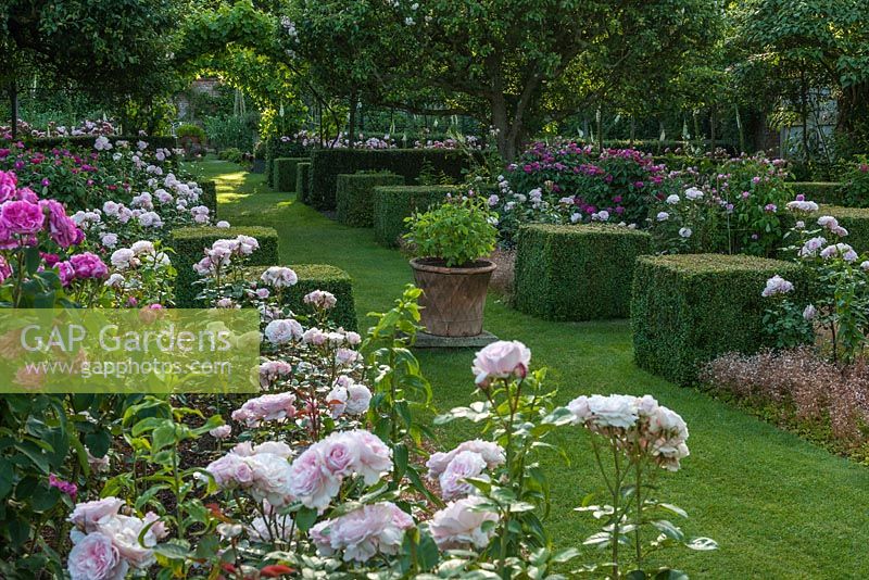 Formal rose garden at Pashley Manor