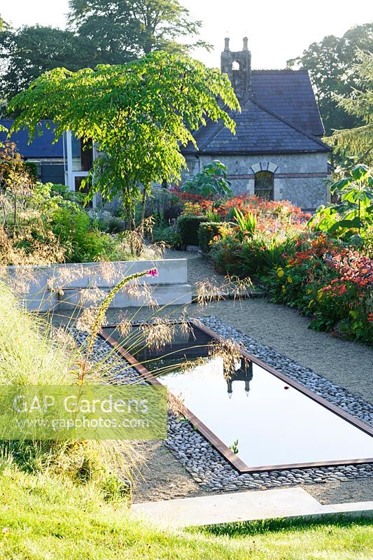 The golden awns of Stipa gigantea catch the early morning sun as they lean over the reflecting pool, with hot border beyond planted with yellow Leontodon rigens, red Crocosmia 'Lucifer' and orange Lilium lancifolium. Height is provided by Aralia echinocaulis and Paulownia tomentosa.