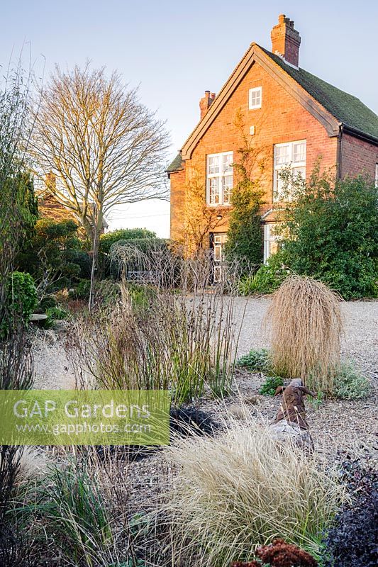 Gravel garden in front of the house includes small trailing conifer Larix decidua 'Puli', Ophiopogon planiscapus 'Nigrescens' and grasses. 'Windy Ridge, Little Wenlock, Shropshire, UK