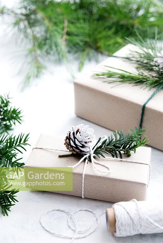 Wrapped presents using brown paper and string with reels of string, decorated with greenery from fir tree, yew tree and silvery foliage with half dipped pine cones