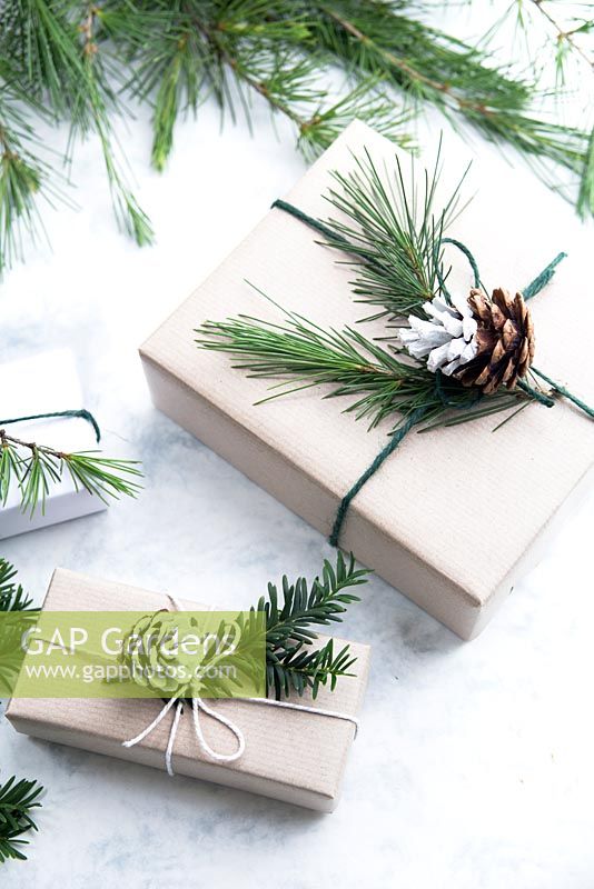 Wrapped presents using brown paper and string with reels of string, decorated with greenery from fir tree, yew tree and silvery foliage with half dipped pine cones