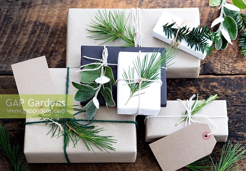 Lots of presents wrapped with brown and white paper and fastened with string, with gift tags and string.  Decorated with fir tree, yew tree and silvery foliage.