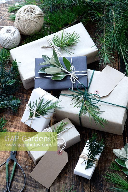Lots of presents wrapped with brown and white paper and fastened with string, with gift tags and string.  Decorated with fir tree, yew tree and silvery foliage, with scissors