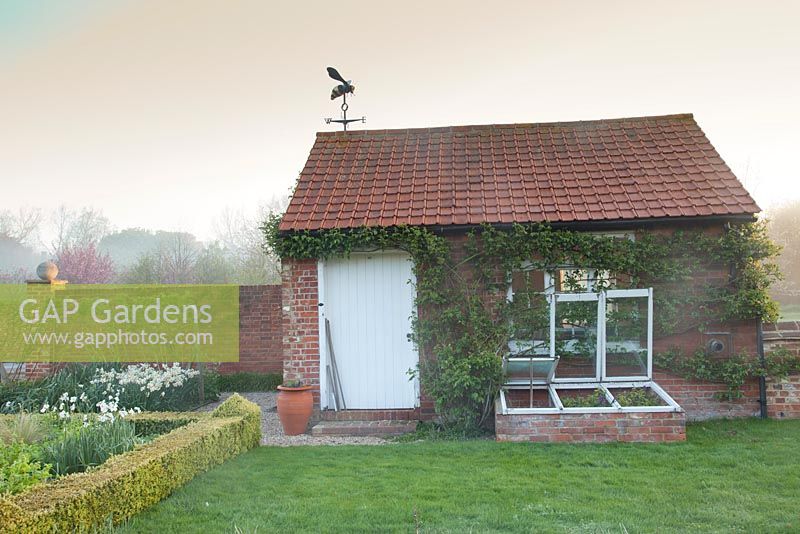 Spring garden with decorative outbuilding  coldframe and Narcissus in border with clipped hedge. Garden: Ulting Wick, Essex, Owner: Philippa Burrough