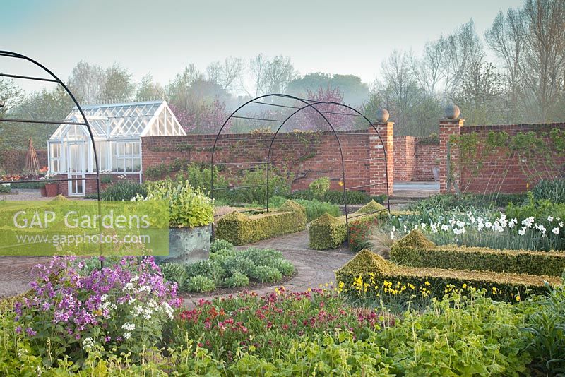 Spring beds in formal country garden with decorative metal arches, Buxus clipped hedge and Honesty, Sedum 'Autumn Joy', Wallflower 'Giant Pink', Narcissus, Tellima grandiflora. Garden: Ulting Wick, Essex. Owner: Philippa Burrough