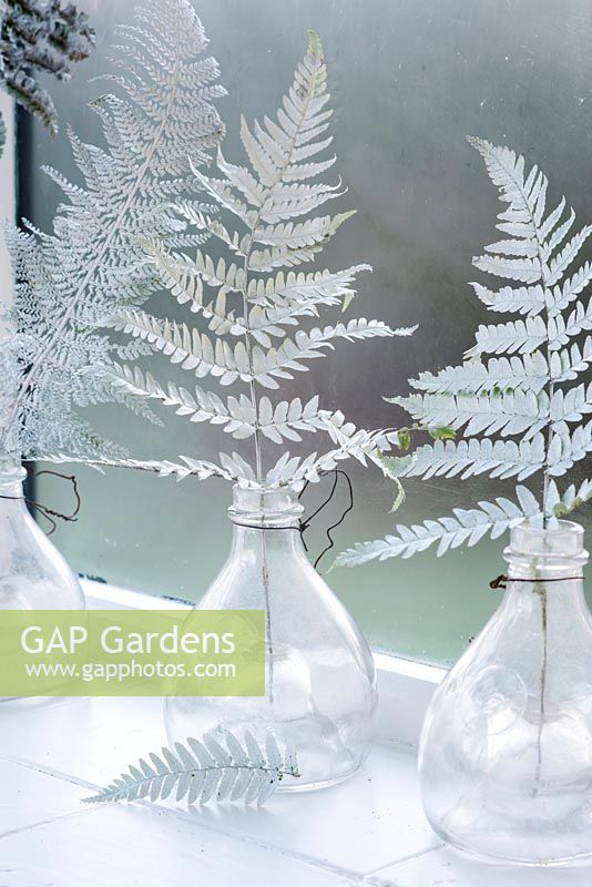 Sprayed fern leaves used as winter decorations in old glass wasp catchers
