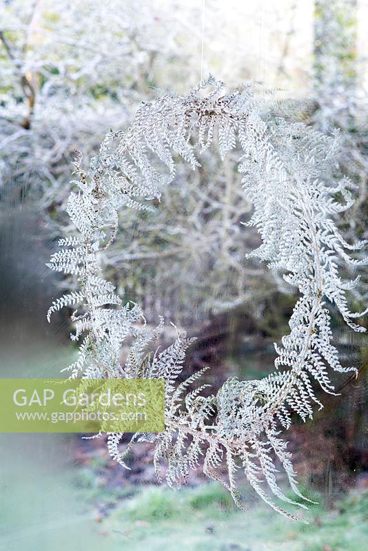 Simple sprayed fern wreath hanging in window on frosty morning