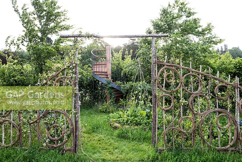 Woven wicker fence and gateway with flowering Trachelospermum jasminoides - star jasmine surrounding the Belmond Enchanted Gardens at RHS Chatsworth Flower Show 2017. Designer: Butter Wakefield