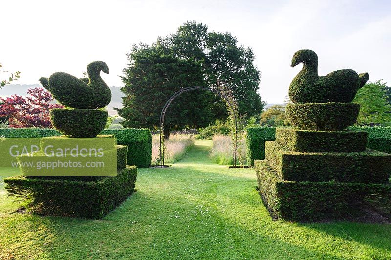 Topiary garden features yew clipped into peacocks and swans. Felley Priory, Underwood, Notts, UK