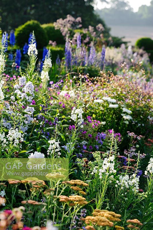 Herbaceous border packed with Chamaenerion angustifolium 'Album', Achillea 'Paprika', peonies, campanulas and delphiniums. Felley Priory, Underwood, Notts, UK
