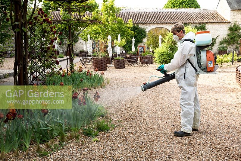 STIHL back mounted mistblower in use.  This sprayer is being used to spread a biological treatment, not pesticides. Chateau and gardens of Le Rivau, Loire Valley, France. 