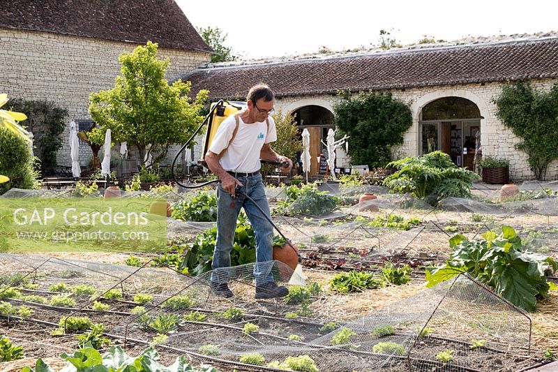 Hand operated, pump action back-pack sprayer bring used to distribute fertiliser, Chateau and gardens of Le Rivau, Loire Valley, France