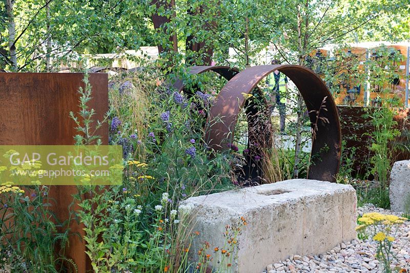 Betula pendula with self-seeded perennials surround rusted steel structures, including Buddleja davidii, Achillea 'Moonshine' and Pilosella aurantiaca -  Brownfield Metamorphosis, RHS Hampton Court Palace Flower Show 2017