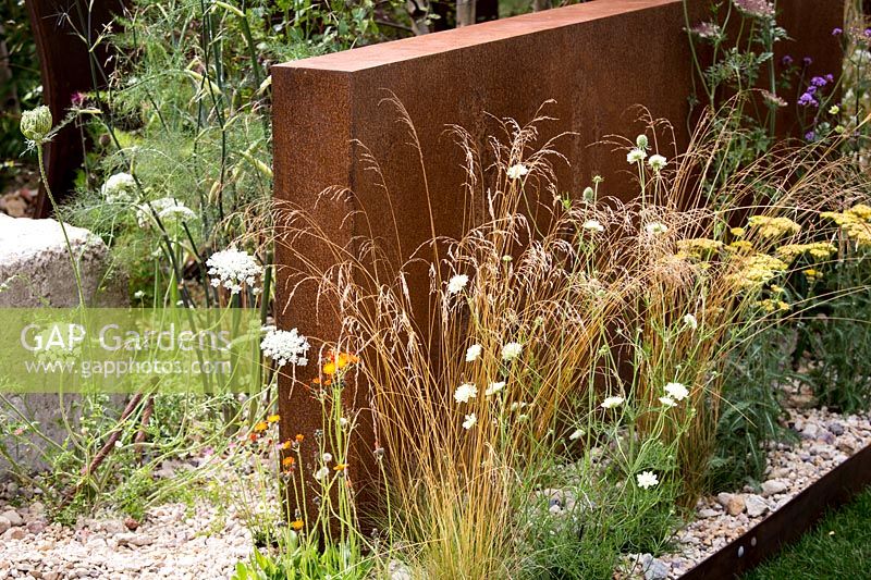 Hampton Court Flower Show, 2017. Brownfield Metamorphosis Garden, des. Martyn Wilson. Daucus carota, Deschampsia cespitosa and Knautia Macedonica 'Mars Midget' against a rusted metal wall