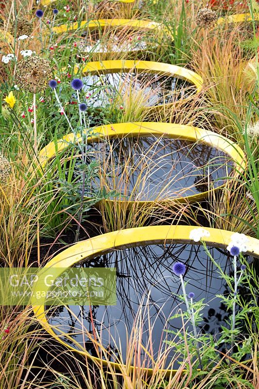 Hampton Court Flower Show, 2017. Kinetica Garden. Small circular ponds reflecting grasses and seed heads