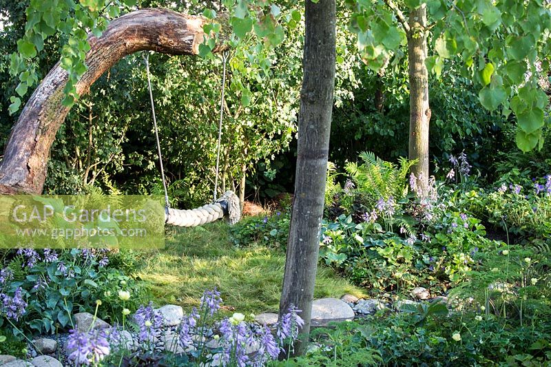 Hampton Court Flower Show, 2017. The 'Zoflora and Caudwell' Children's Wild Garden. Children's rope swing in shady woodland garden