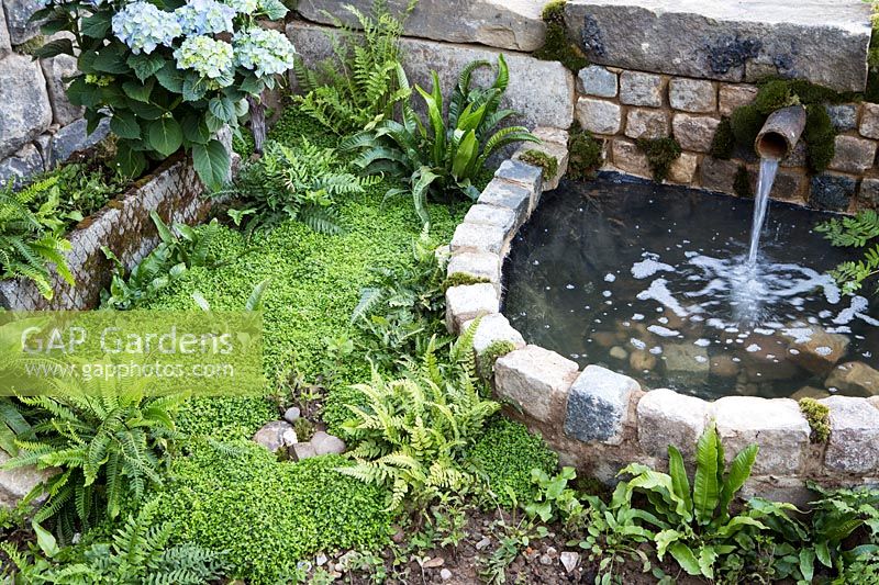 Hampton Court Flower Show, 2017. The Pazo's Secret Garden. Shady garden planted with ferns for coolness, and water spout and pond