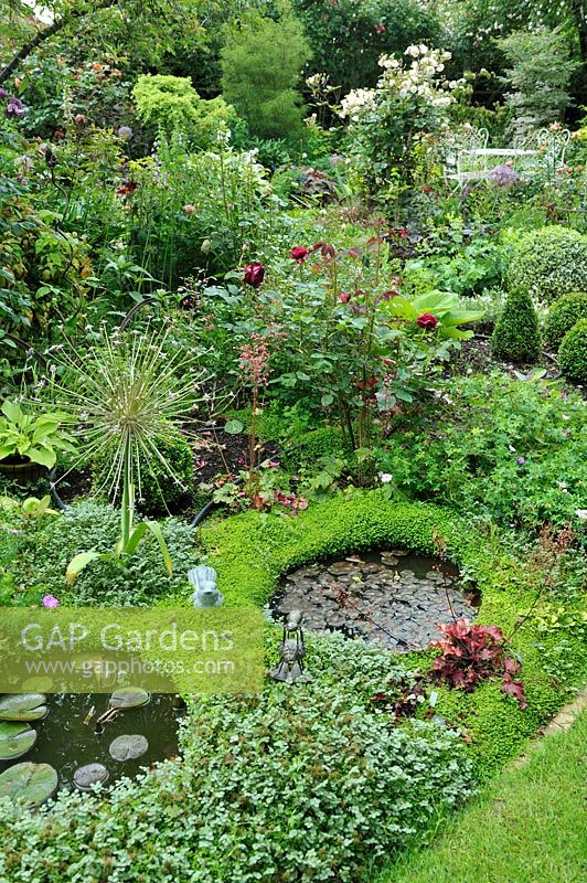 Small ponds with buried metal tubs surrounded by Acaena buchananii and Soleirolia soleirolii in a border - Jardin de Maggy, Centre-Val de Loire, France