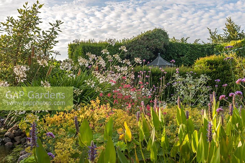 Marginal planting at Old Erringham Cottage