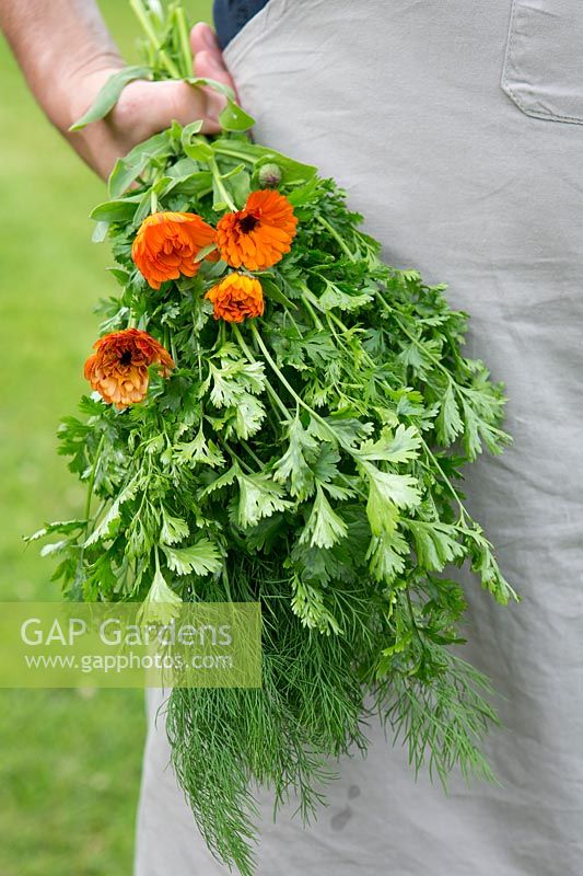 A bundle of herbs and Calendula