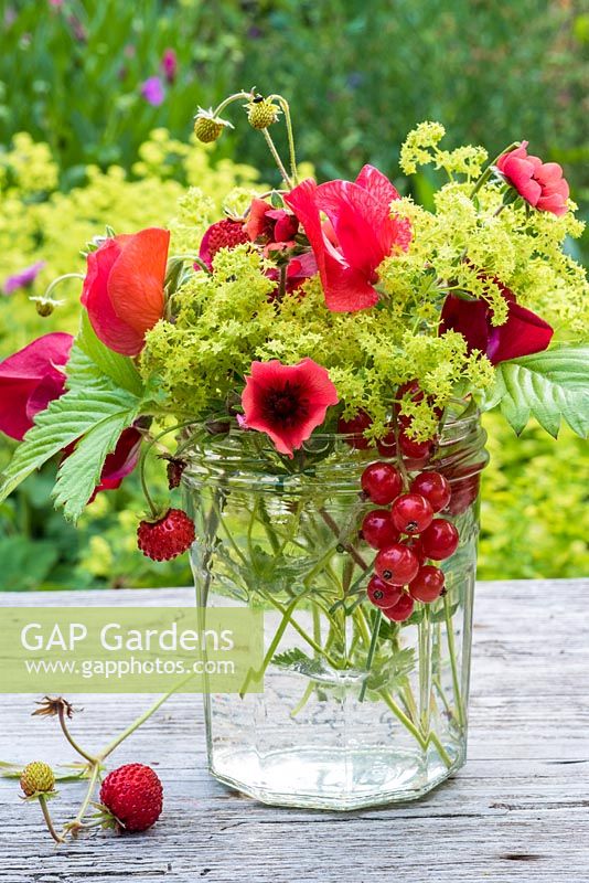 Summer floral arrangement in glass jar with red sweetpeas, potentialla, fragaria vesca, red currants and alchemilla mollis