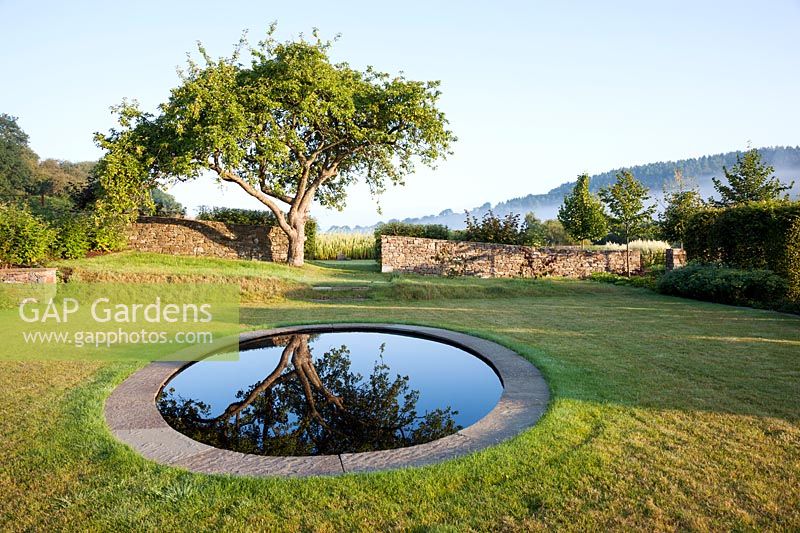 Country garden with a formal circular pond set into a lawn to reflect an old Apple tree - Summer August
