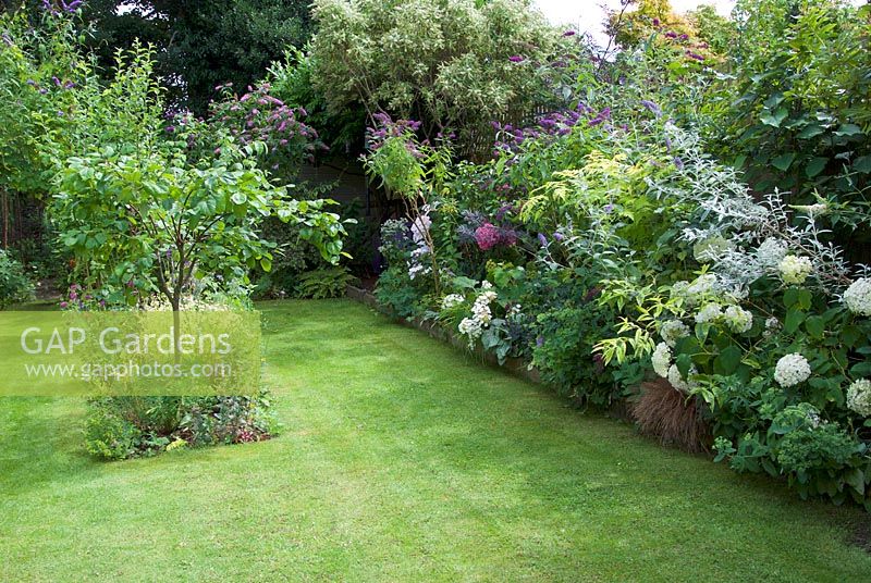 View of garden with veg beds and borders