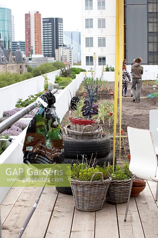 Rooftop kitchen garden in the centre of Rotterdam, Holland.