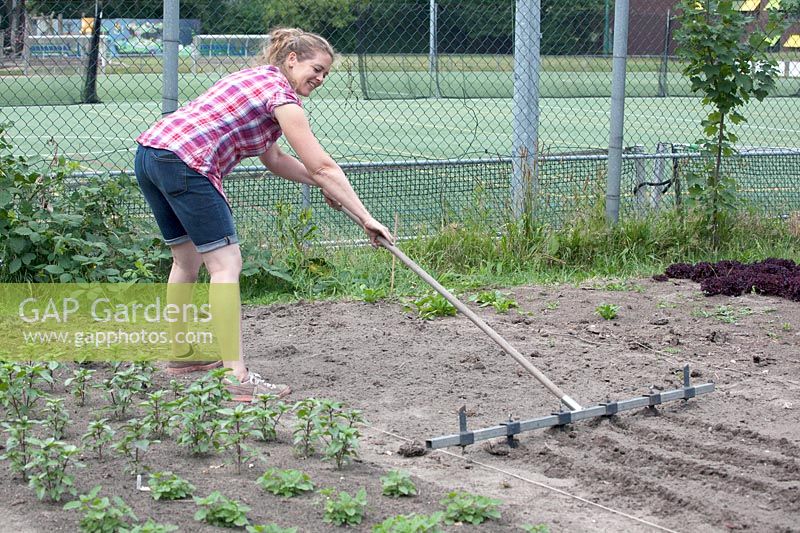 Jessica Zwartjes preparing soil for planting young plants.