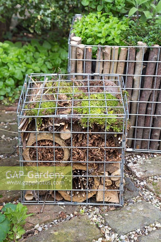 Insect hotel within a gabion container