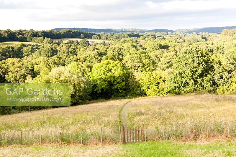 View from the garden: mown path through meadow. Hill House, Glascoed, Monmouthshire, Wales. 