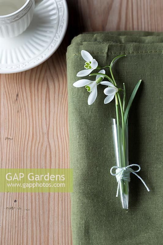 Table place setting with Galanthus