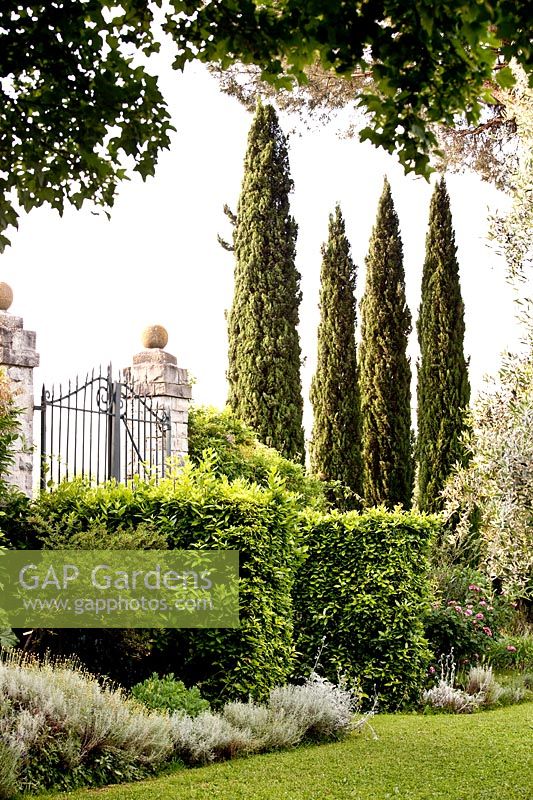 Mixed border. La Limonaia Garden. Designed by Arabella Lennox Boyd. Fiesole. Florence. Italy