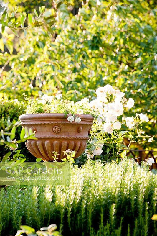 Clay urn used as focal point. La Limonaia Garden. Designed by Arabella Lennox Boyd. Fiesole. Florence. Italy