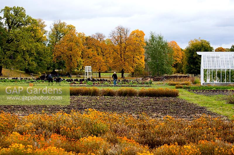 Autumn colours. Rosendals Tratgard. Stockholm. Sweden