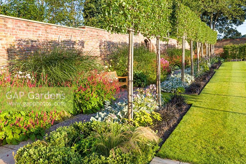 Long herbaceous borders along an old garden wall lead to a patio area and rill, designed by Louise Harrison-Holland. Planting includes: box hedging, pleached Pyrus calleryana 'Chanticleer', Japanese anemones, Stachys, Persicaria, Ophiopogon planiscapus 'Nigrescens' and Miscanthus sinensis 'Kleine Fontaine'