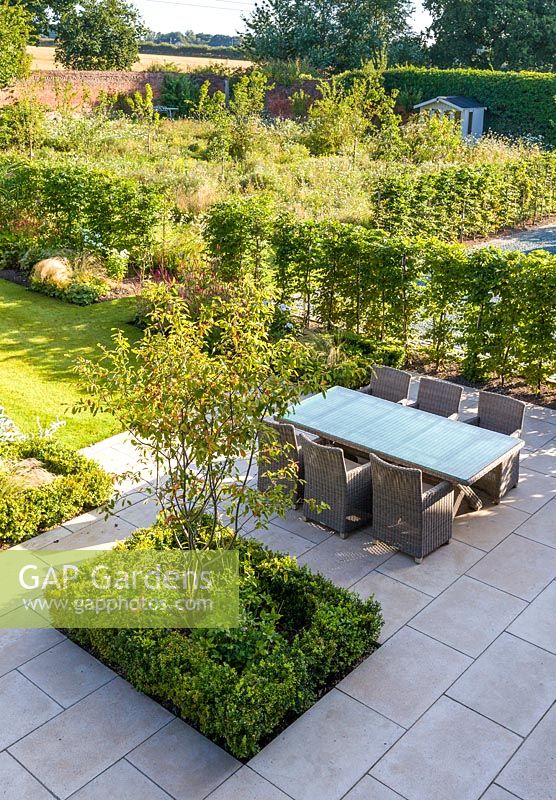 An elevated view of the newly contemporary English garden in Cheshire, designed by Louise Harrison-Holland. The patio area, with garden furniture leads into a lawned walled garden. Beyond is an orchard of plum, apple and pear trees, underplanted with wildflowers. Planting on the patio includes Amelanchier lamarckii and clipped box hedging.
