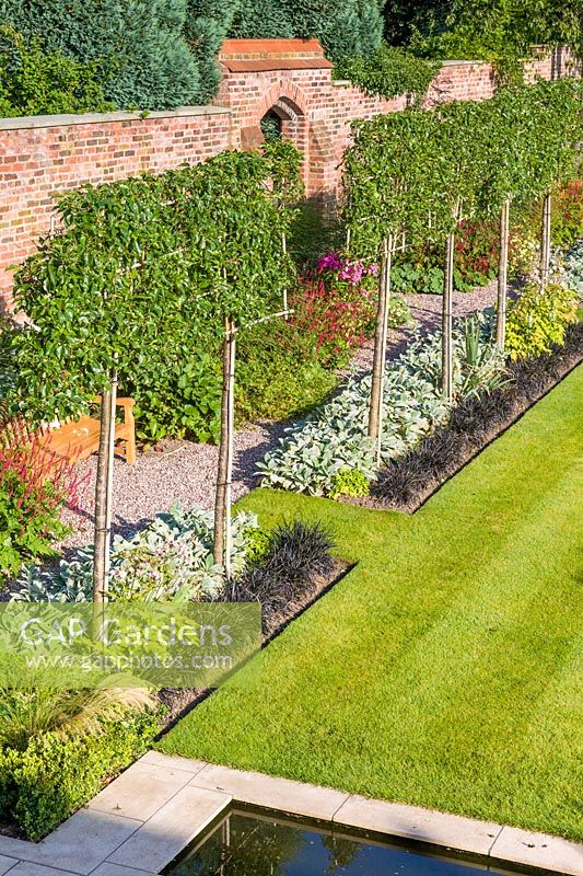 An elevated view of the garden designed by Louise Harrison-Holland. The walled garden has long, linear borders, with plants including pleached Pyrus calleryana 'Chanticleer', Japanese anemones, Stachys, Persicaria, Ophiopogon planiscapus 'Nigrescens' and Miscanthus sinensis 'Kleine Fontaine.