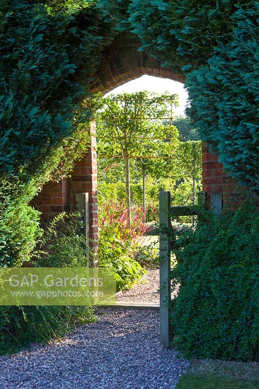 A gateway connects a renovated, pre-existing area to a newly created walled garden in a modern Cheshire country garden. It was designed by Louise Harrison-Holland. Planting includes Jasminum nudiflorum and beyond the gate is Persicaria and pleached Pyrus calleryana 'Chanticleer'.