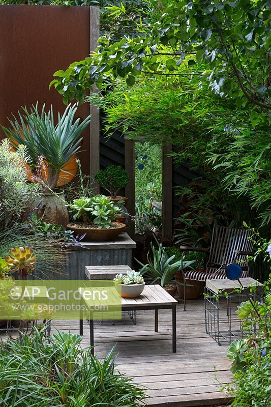 Corner detail of a corrugated iron raised garden bed with a succulent in a dish shaped terracotta pot and a box made from recycled timber with a mirror in it and a green screen of bamboo.